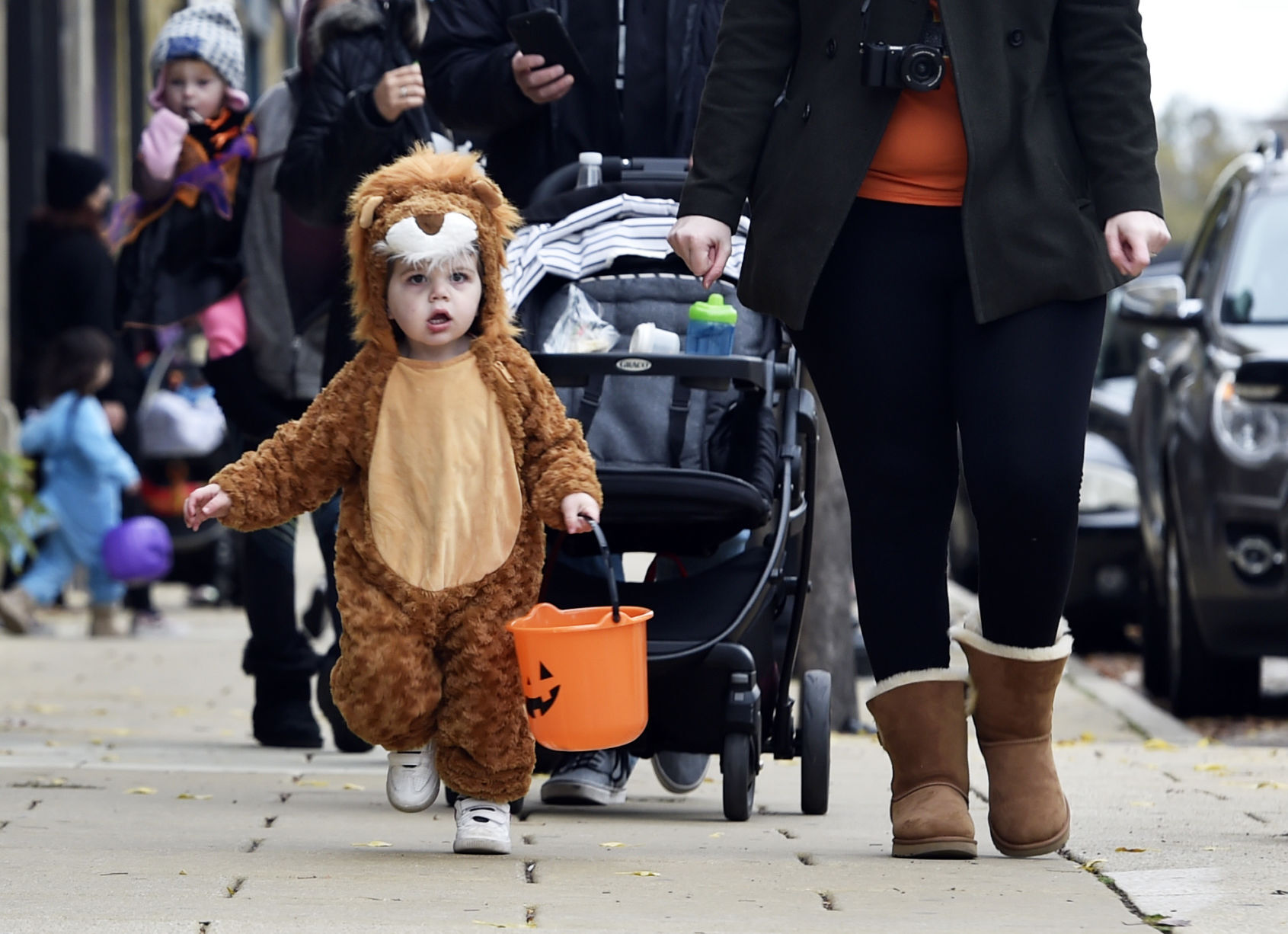 Little lion